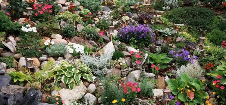 Jak zrobić skalniak na skarpie krok po kroku – porady, rośliny i błędy do uniknięcia