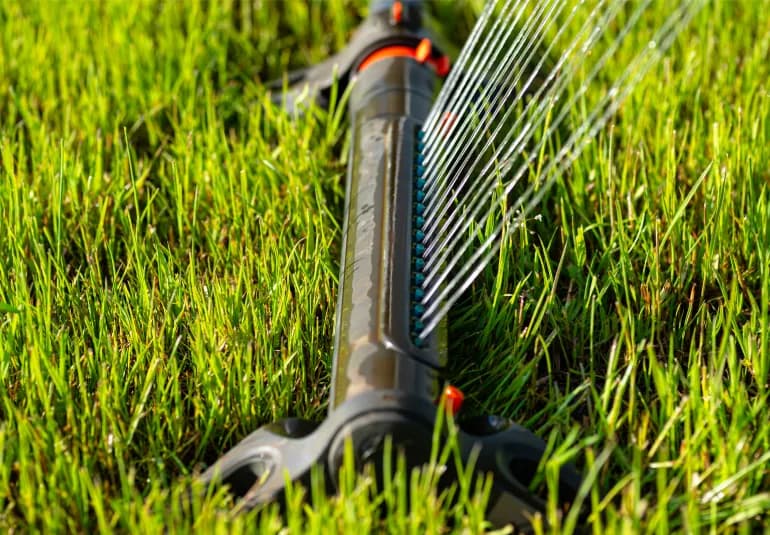 Jak często podlewać trawnik, aby uniknąć przesuszenia i utrzymać go w idealnym stanie