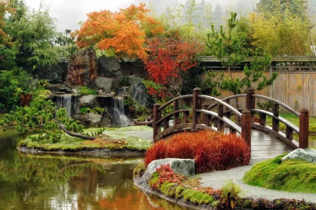 Jak zrobić skalniak z wodospadem – prosty poradnik dla początkujących ogrodników