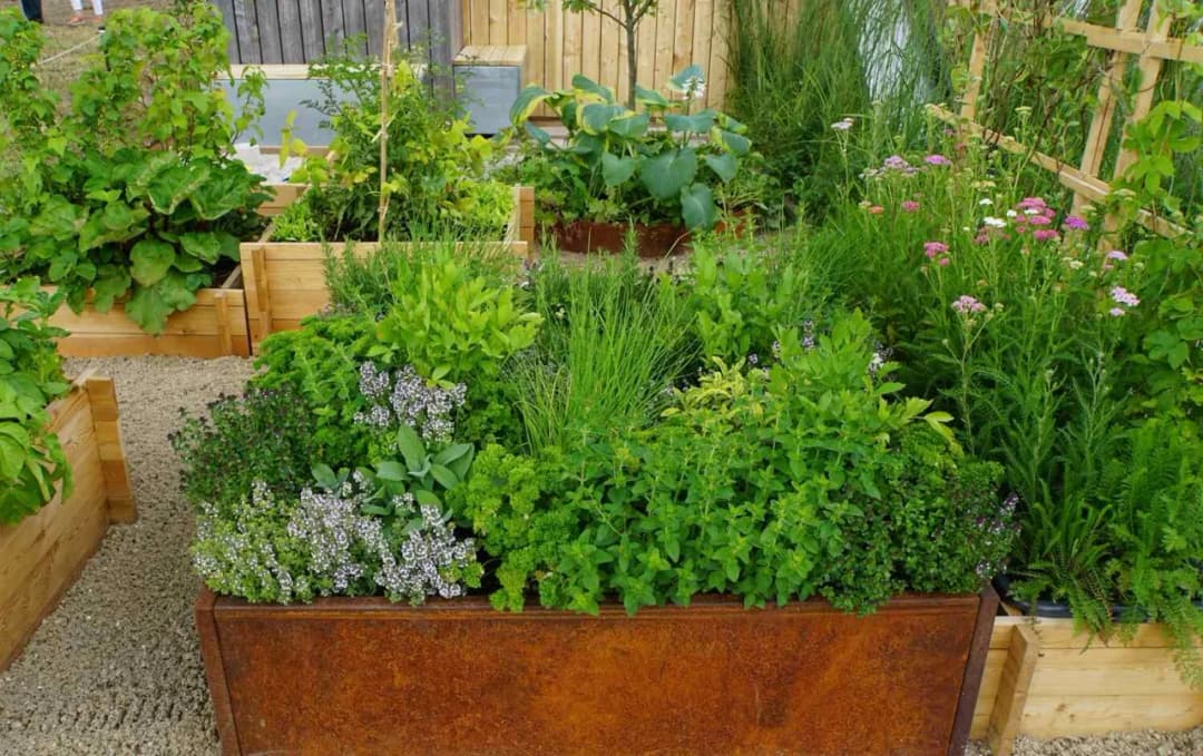 Co ryje w ogrodzie i jak skutecznie chronić rośliny przed szkodnikami