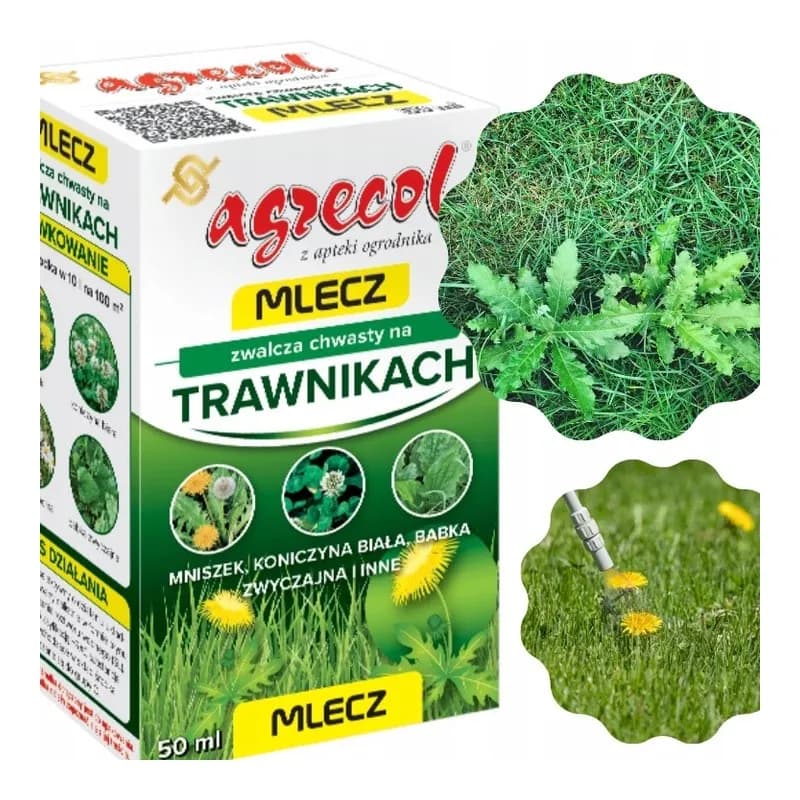 Skuteczne metody na chwasty w trawniku - czym pryskać, aby nie zaszkodzić?