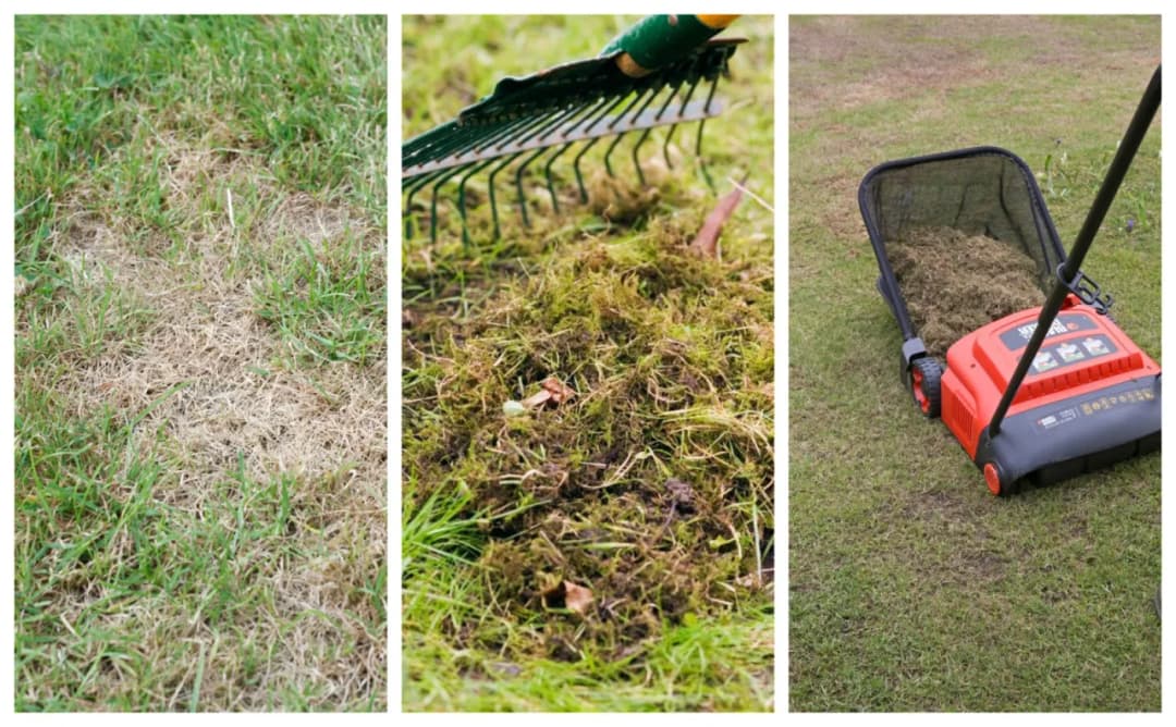Jak zregenerować trawnik po zimie i uniknąć jego zniszczenia