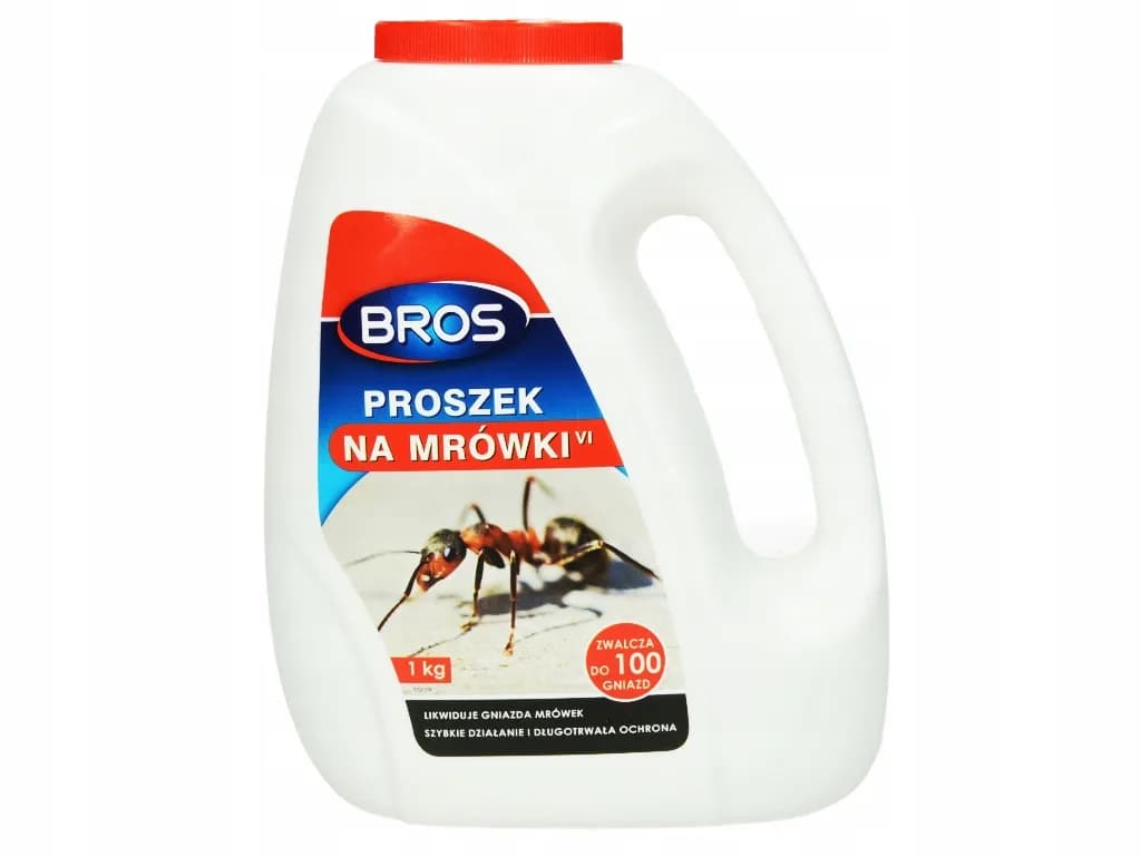 Skuteczne sposoby na mrówki w ogrodzie, które nie zaszkodzą roślinom