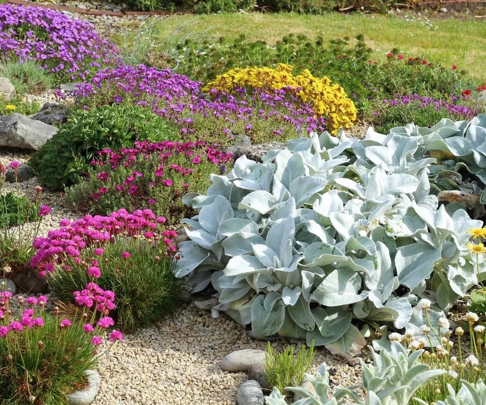 Najlepsze wieloletnie kwiaty na skalniak – trwałe i łatwe w uprawie rośliny