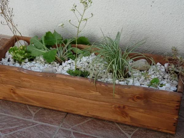 Jak zrobić skalniak w donicy – proste kroki dla pięknego balkonu bez błędów