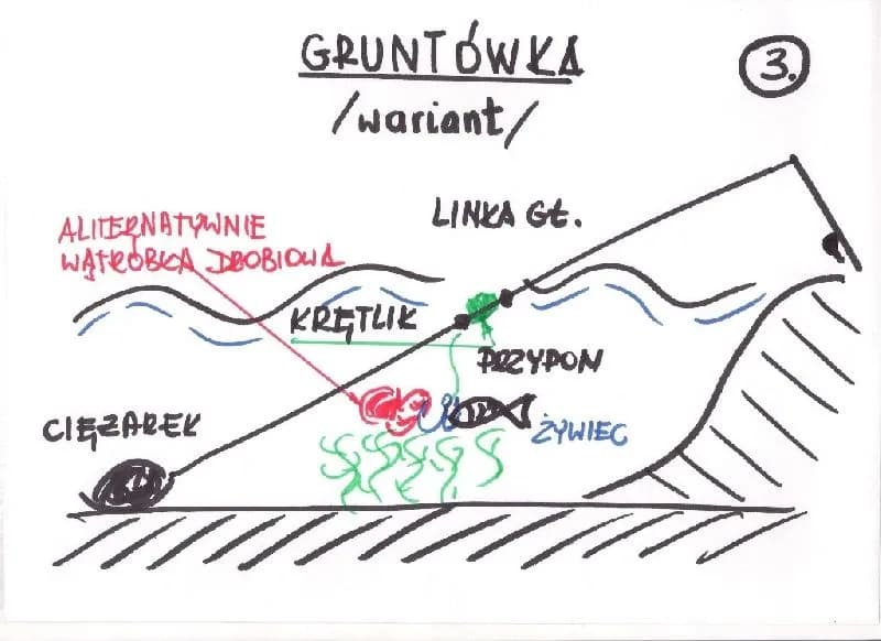 Jak ustawić grunt na suma? Skuteczne porady i optymalne ustawienia dla udanego połowu